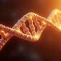 CRISPR Unlocked: Optimizing Gene Editing Experimental Design