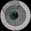 See the Hidden: Advancing Cryo Workflows for Cellular Discovery