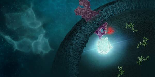 Image of an enzyme and protein