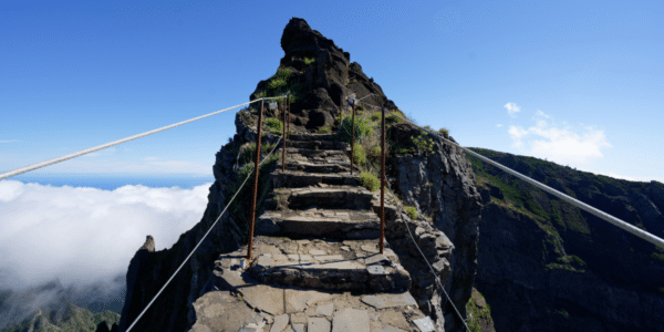 Career Planning for Bioscientists in a Changing Job Market