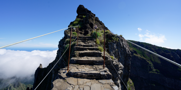 Career Planning for Bioscientists in a Changing Job Market