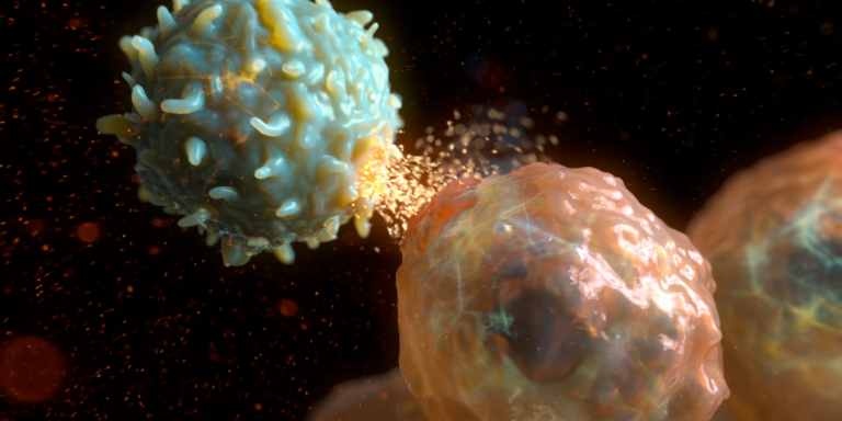 Cells interacting in a microscopic view