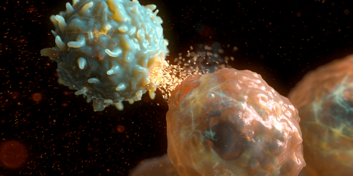 Cells interacting in a microscopic view