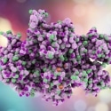 Innovations and Emerging Tools in Peptide Science