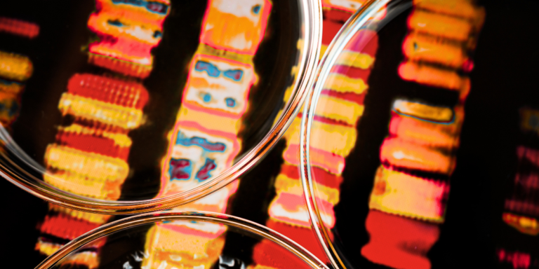 Close up of DNA gel ladder