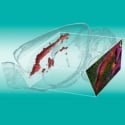 Linking 2D and 3D Spatial Biology for Multiscale Mapping of Complex Tissues