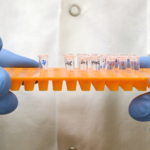 close up gloved hands holding rack with lab tubes