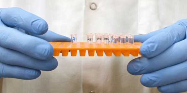close up gloved hands holding rack with lab tubes