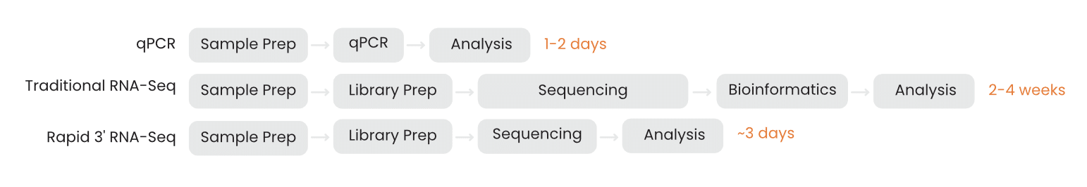 qPCR or RNA-seq for DGE studies: How 3’ end counting eliminates the compromise between speed and scale 