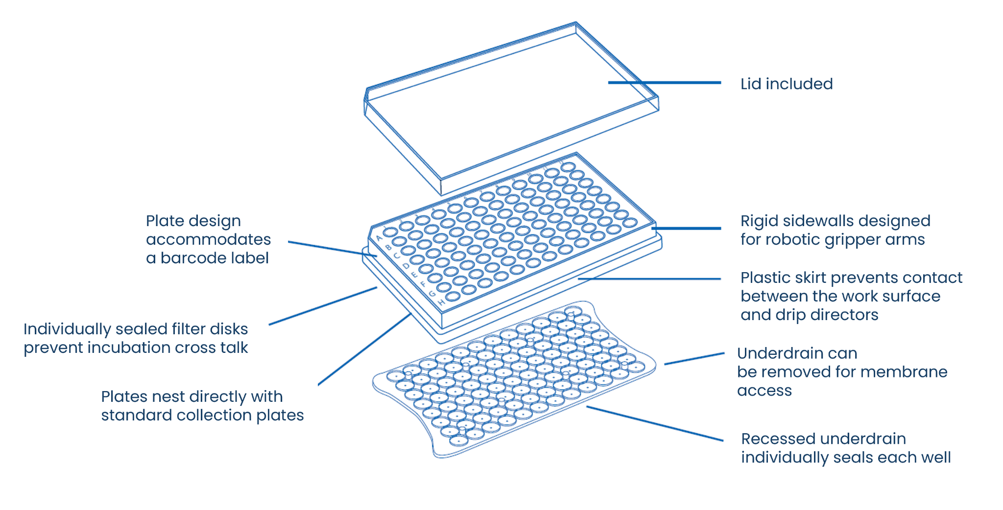 How to Choose Filter Plates for Automated Cell-based Assays: Biological and Hardware Considerations 
