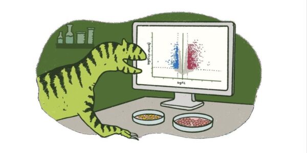 qPCR or RNA-seq for DGE studies: How 3’ end counting eliminates the compromise between speed and scale 