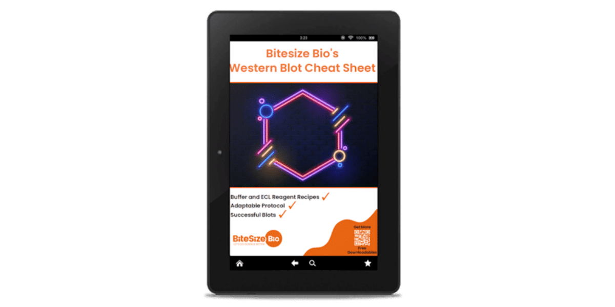 Western Blot Cheat Sheet