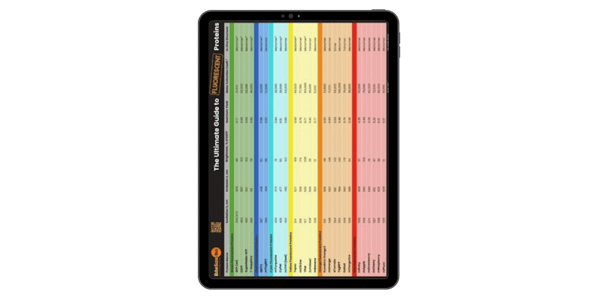 Fluorescent Proteins Guide
