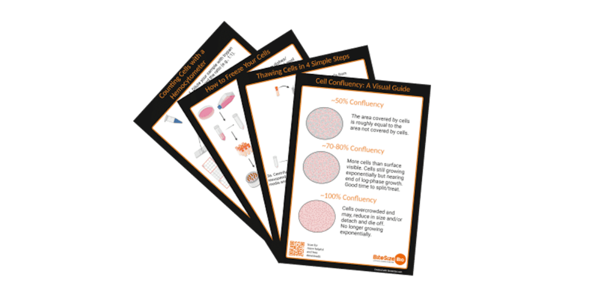 Cell Culture Posters