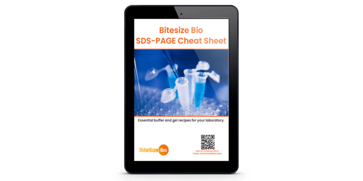 SDS-PAGE Cheat Sheet