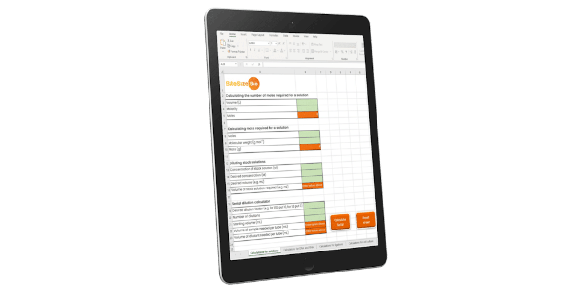 Lab Math Calculator
