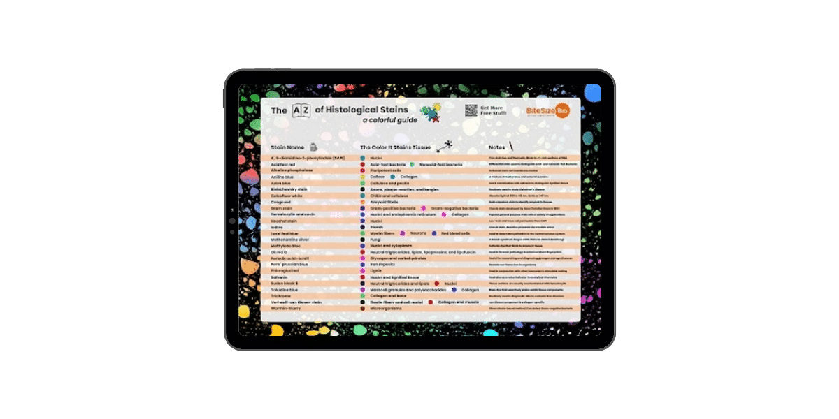 Histological Stains Poster