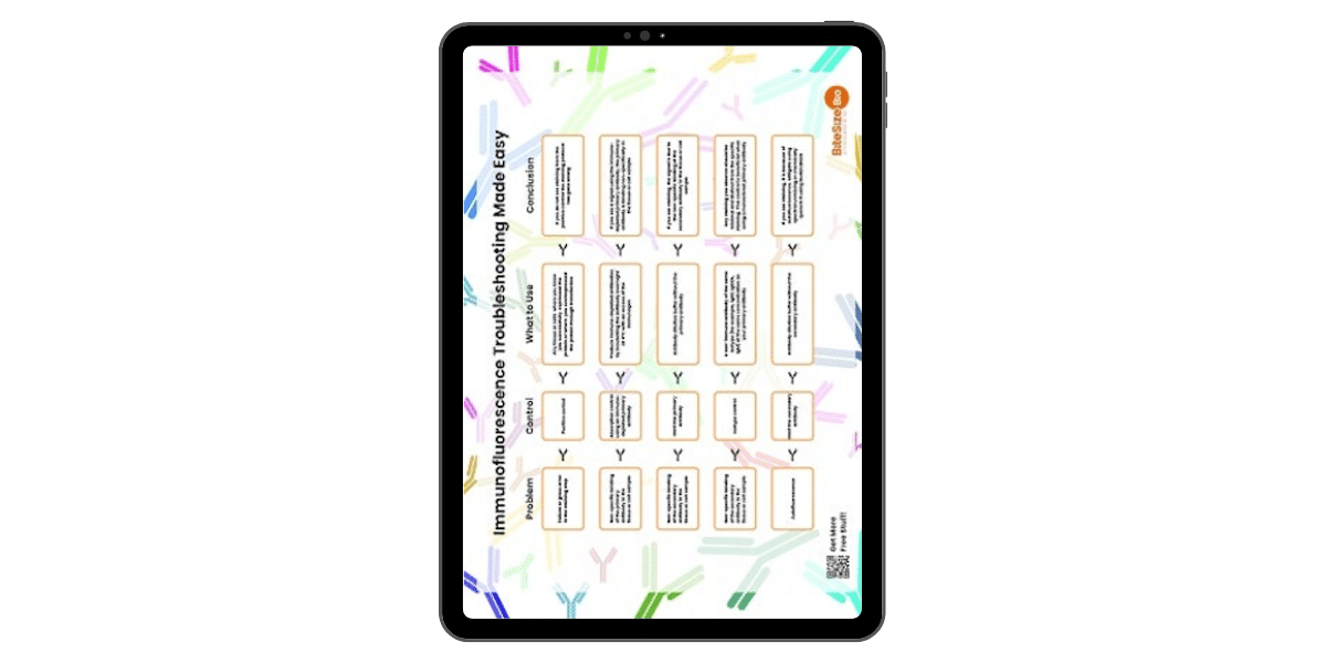 Immunofluorescence Troubleshooting Guide