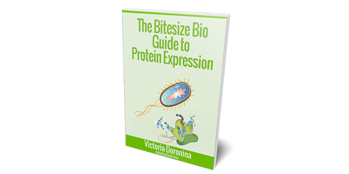 Free Guide to Protein Expression