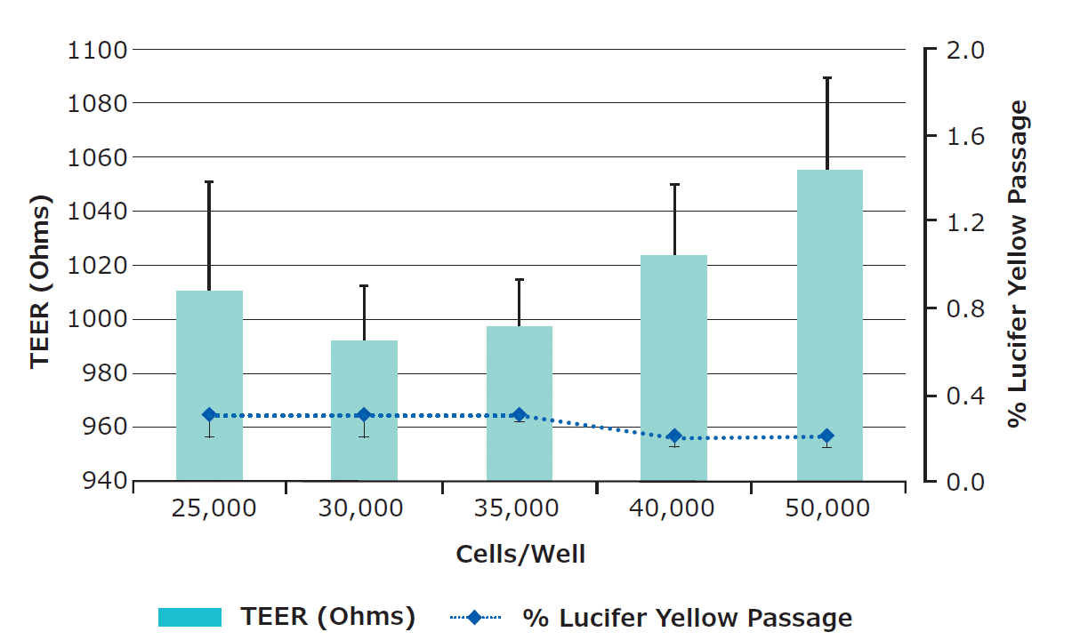 MDCK Monolayer Integrity: How to Validate Your Barrier Before Transport Assays