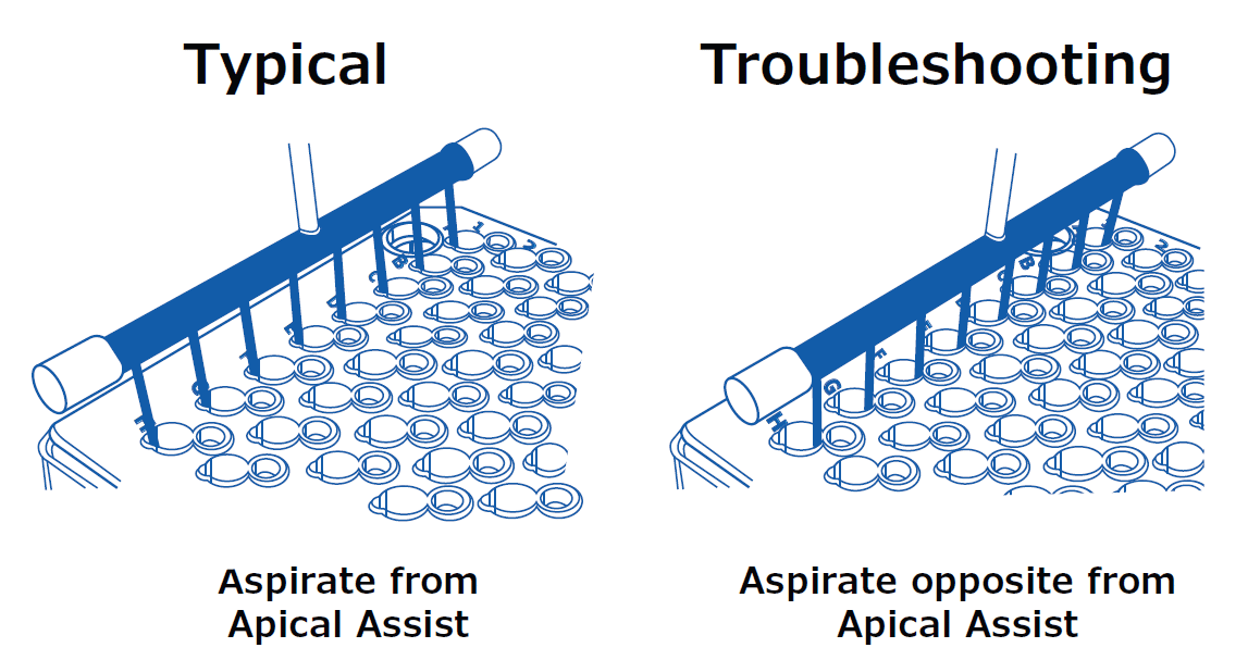 MDCK Monolayer Integrity: How to Validate Your Barrier Before Transport Assays