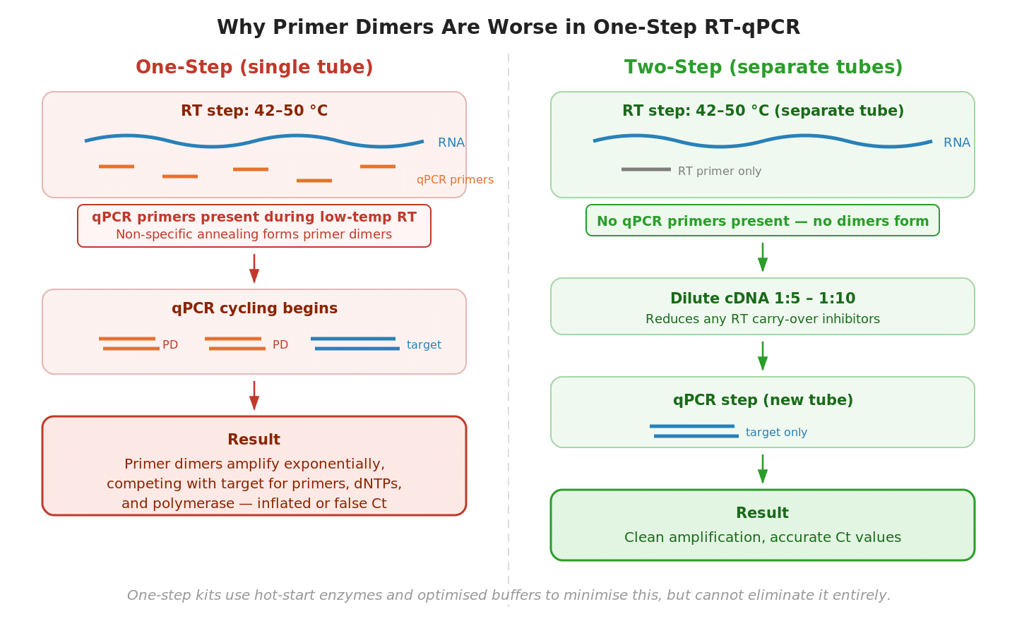 Two-panel diagram showing how primer dimers form during the low-temperature RT step in one-step RT-qPCR because qPCR primers are present, versus two-step where qPCR primers are absent during RT and cDNA is diluted before qPCR