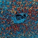 Sharper, Faster, and Smarter Confocal Imaging by Design with STELLARIS