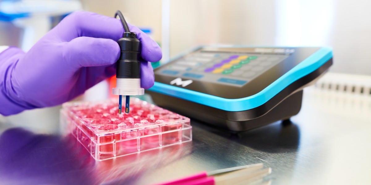Validating MDCK monolayer