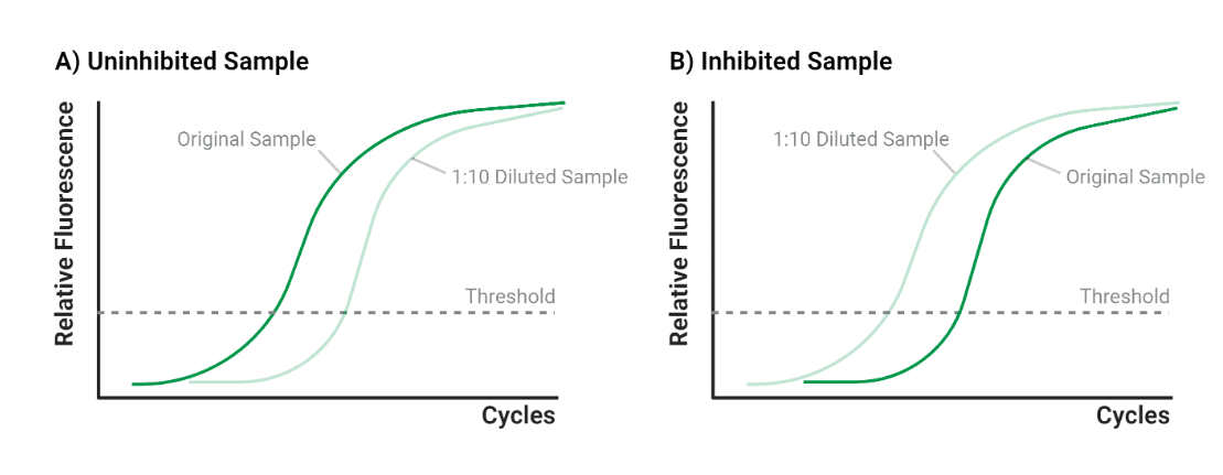 The PCR Inhibition Problem That Standard Checks Can Miss
