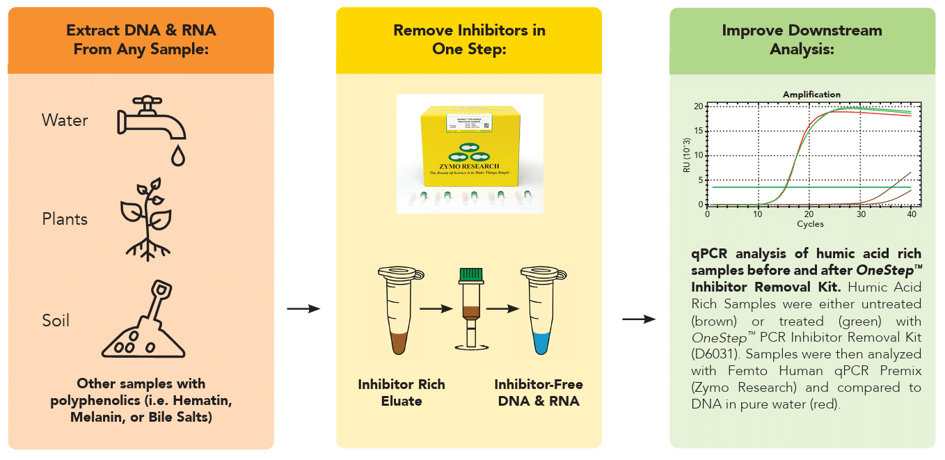 The PCR Inhibition Problem That Standard Checks Can Miss