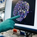 Organoid Meet-up: Methods in Organoid Development