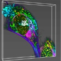 A DNA-Based Toolkit for Spatial Molecular Analysis