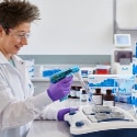 Winning Westerns: Tips and Tricks for the Perfect Western Blot