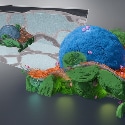 Seeing the Complete Cell: From Confocal Microscopy to Volume EM and Cryo-EM
